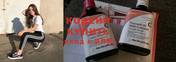 дживик Корсаков