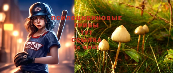 герыч Козловка