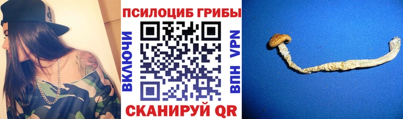 Галлюциногенные грибы Cubensis Красноперекопск